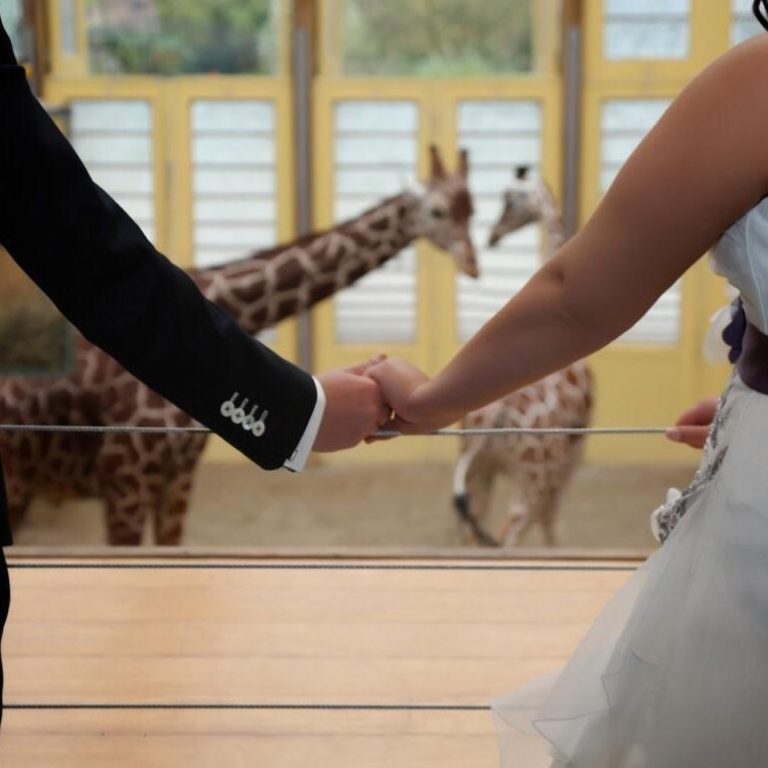 Trouwen dierentuin